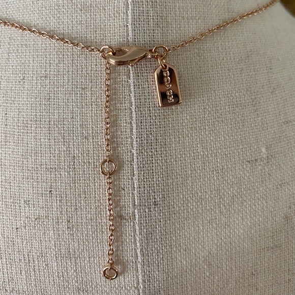 Coach Women's Signature Stone Tea
Rose 3-Piece Jewelry Set necklace earrings BN - Picture 5 of 11